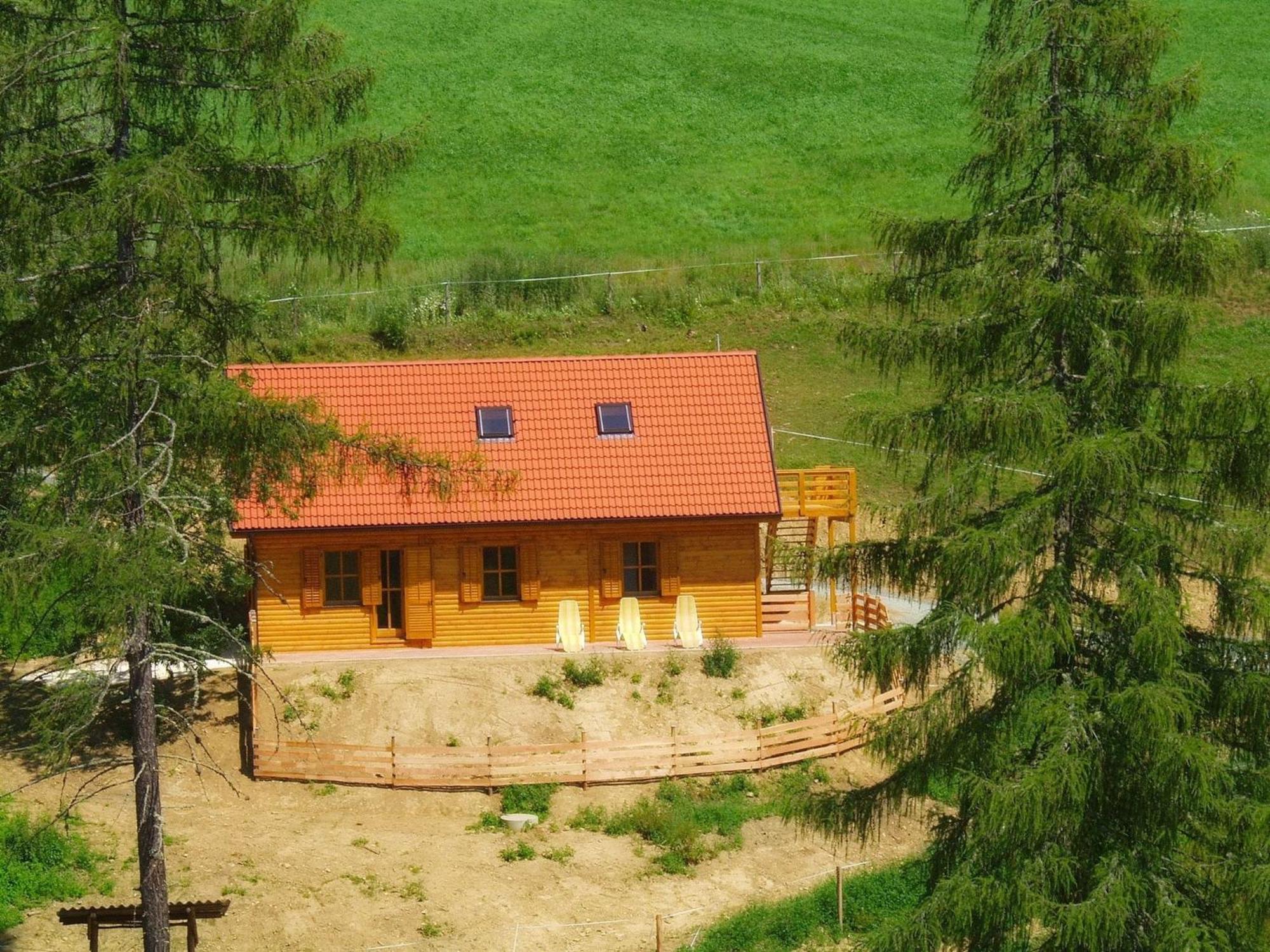 Detached Wooden Chalet In Liebenfels Carinthia Near The Simonh He Ski Area Exterior photo