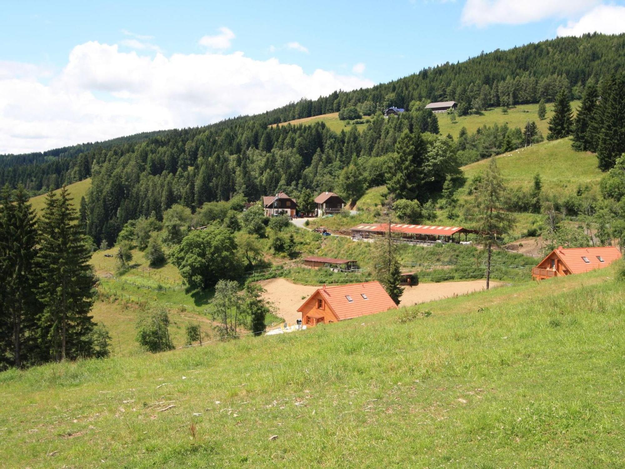 Detached Wooden Chalet In Liebenfels Carinthia Near The Simonh He Ski Area Exterior photo